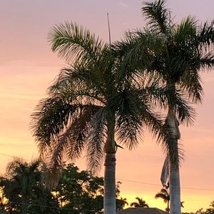 Meet your Posher, Valerie